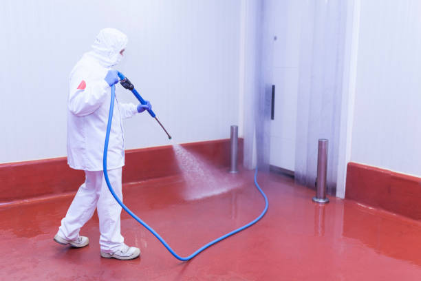 Best Soft Washing  in Ganado, TX